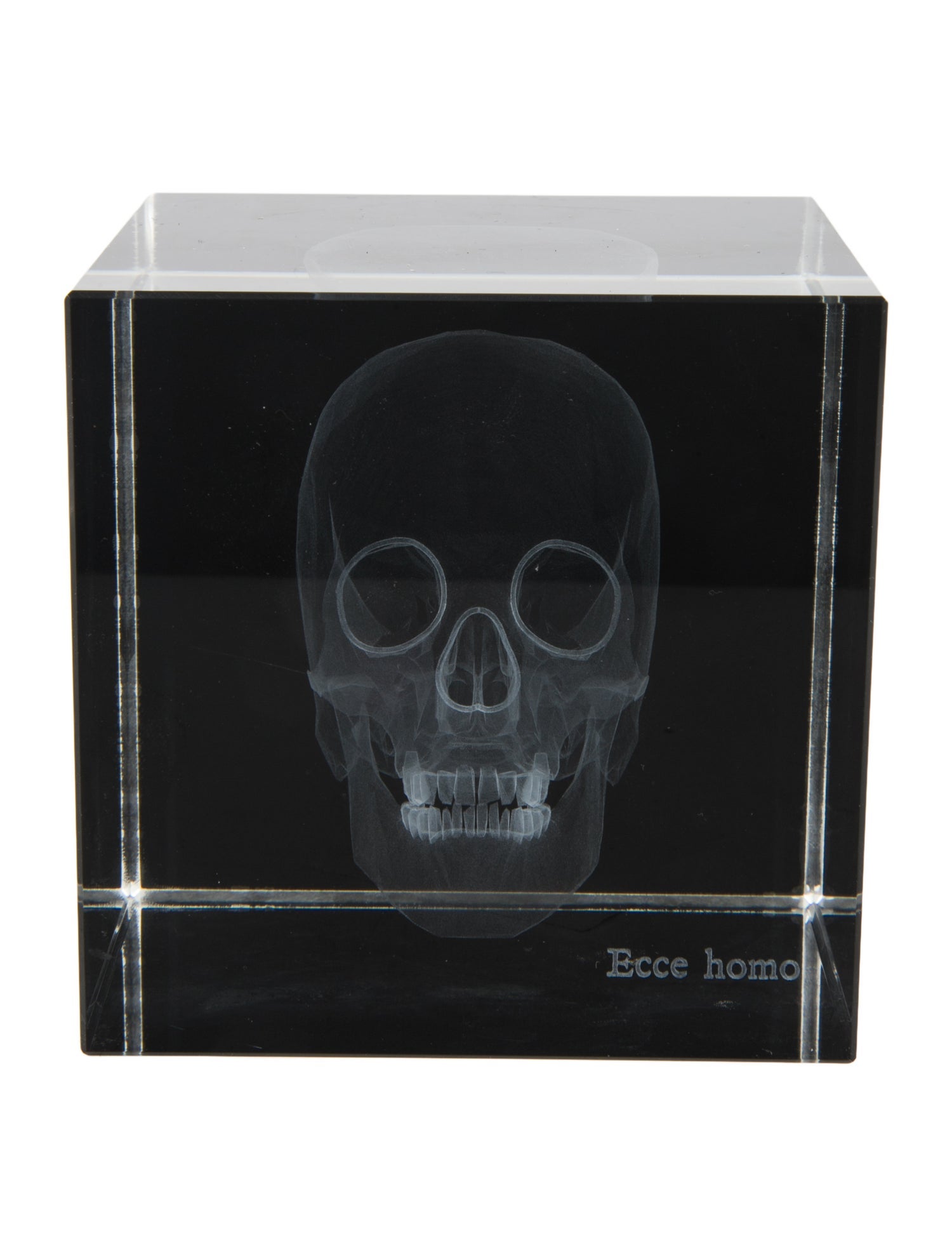 Nicole Sassaman 3D Skull Paperweight