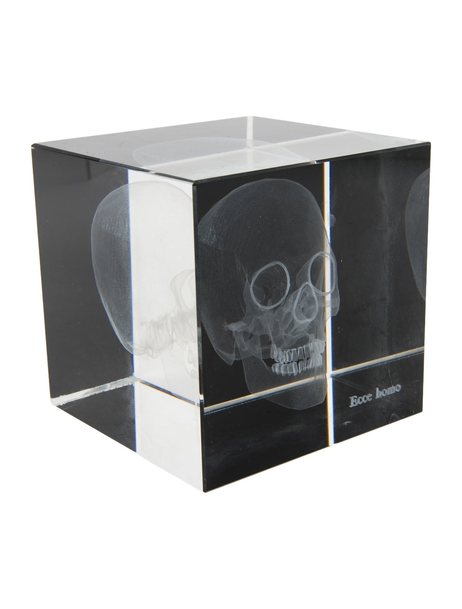 Nicole Sassaman 3D Skull Paperweight