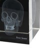 Nicole Sassaman 3D Skull Paperweight