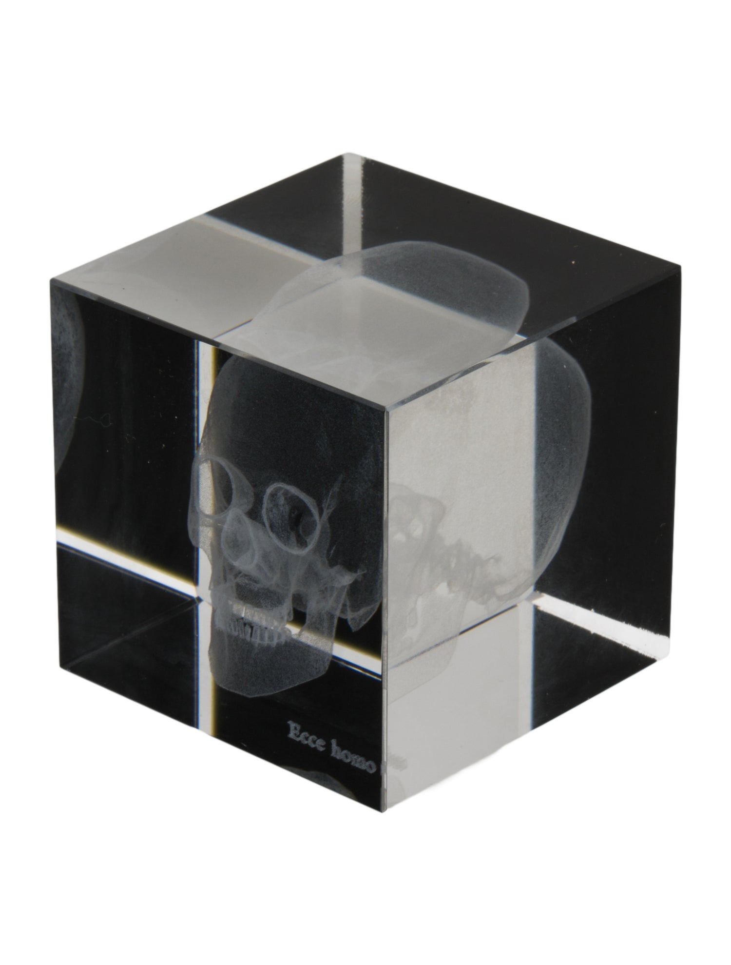 Nicole Sassaman 3D Skull