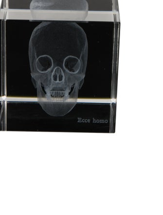 Nicole Sassaman Nicole Sassaman 3D Skull