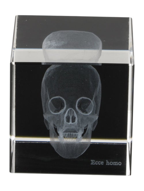 Nicole Sassaman 3D Skull