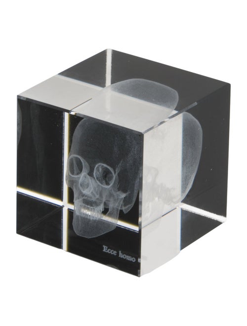 Nicole Sassaman 3D Skull