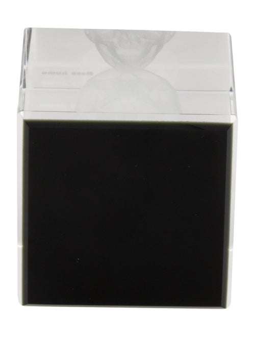 Nicole Sassaman 3D Skull