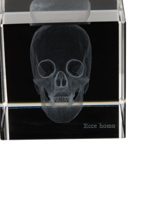 Nicole Sassaman 3D Skull