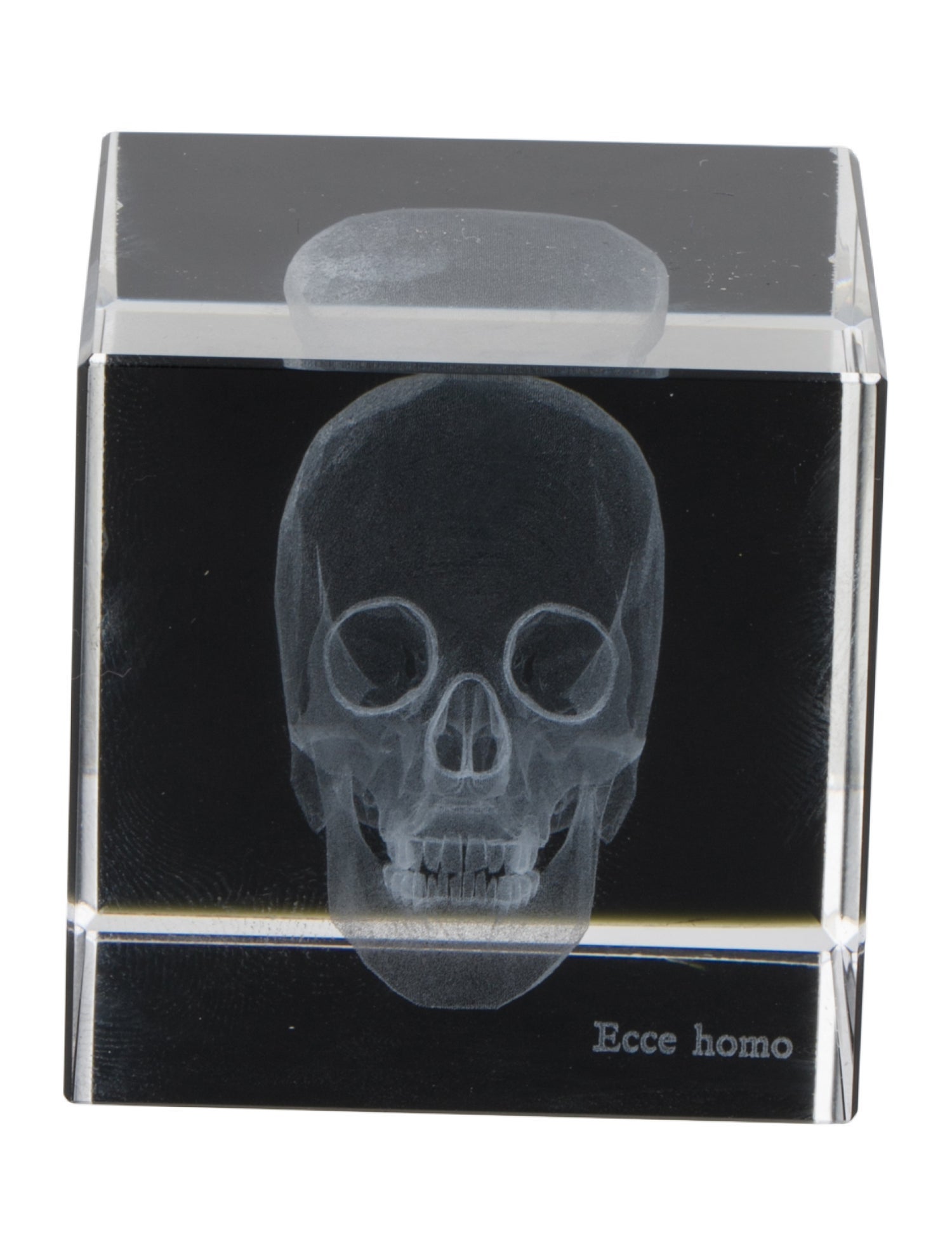 Nicole Sassaman 3D Skull Paperweight