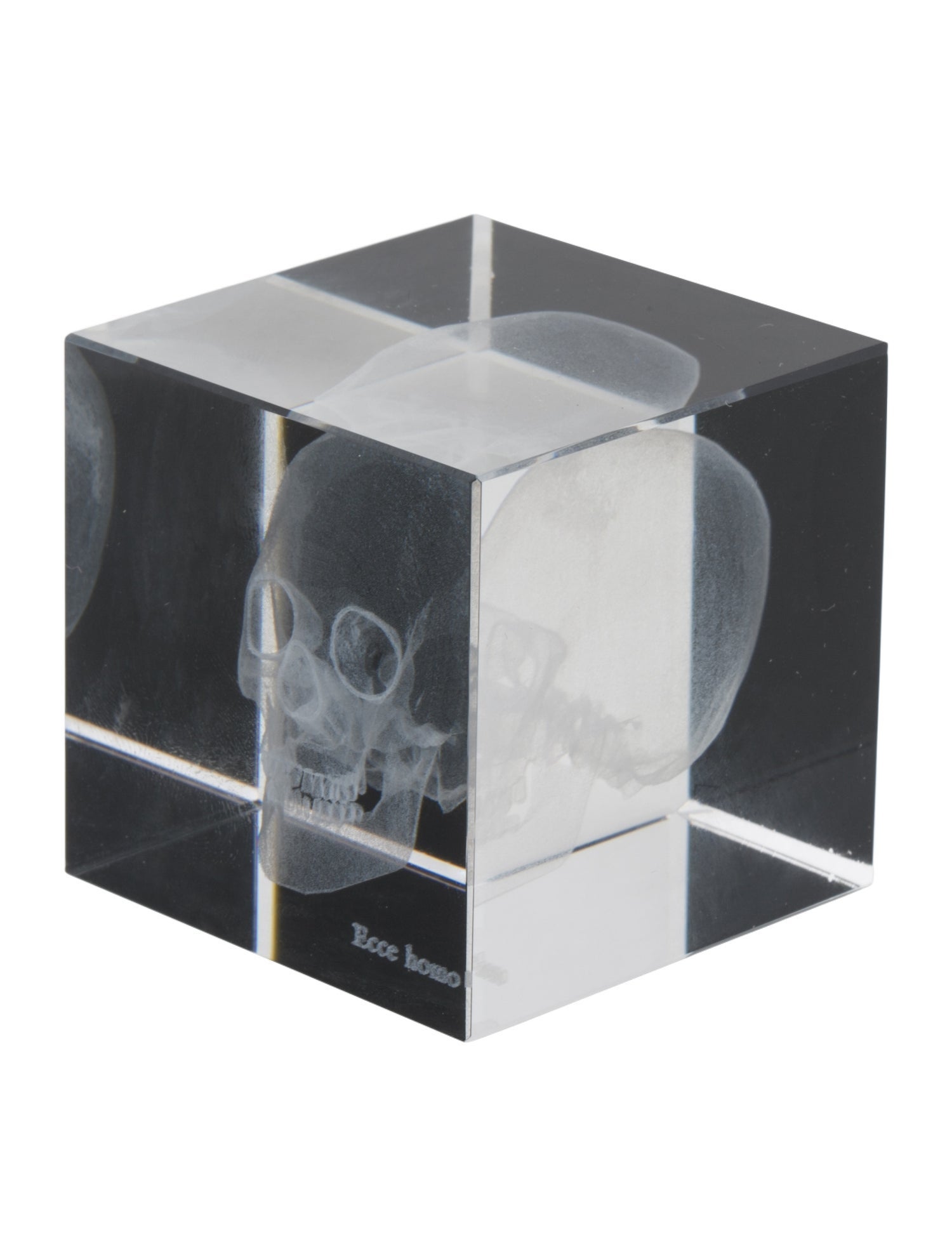 Nicole Sassaman 3D Skull Paperweight