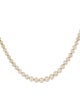 Necklace 14K 14.88ctw Diamond Collar Necklace