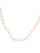 Necklace 14K Pearl Strand Necklace