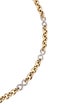Necklace 14K Two-Tone Link Chain Necklace