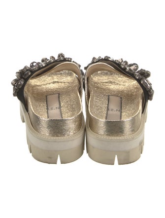 Nº 21 Crystal Embellishments Slides