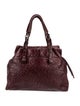 Nuti Ostrich Shoulder Bag