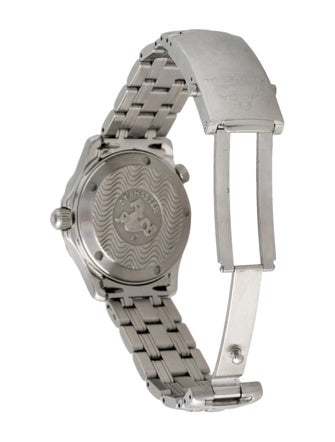 Omega Seamaster Professional 300M Watch