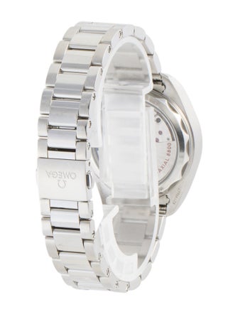 Omega Seamaster Aqua Terra Watch