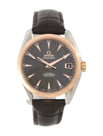 Omega Aqua Terra Watch