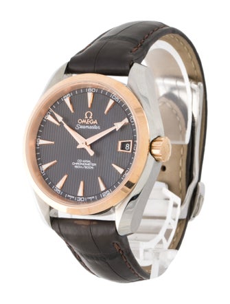 Omega Aqua Terra Watch