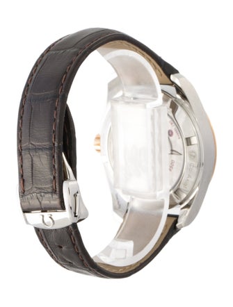 Omega Aqua Terra Watch