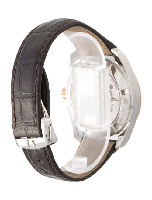 Omega Aqua Terra Watch