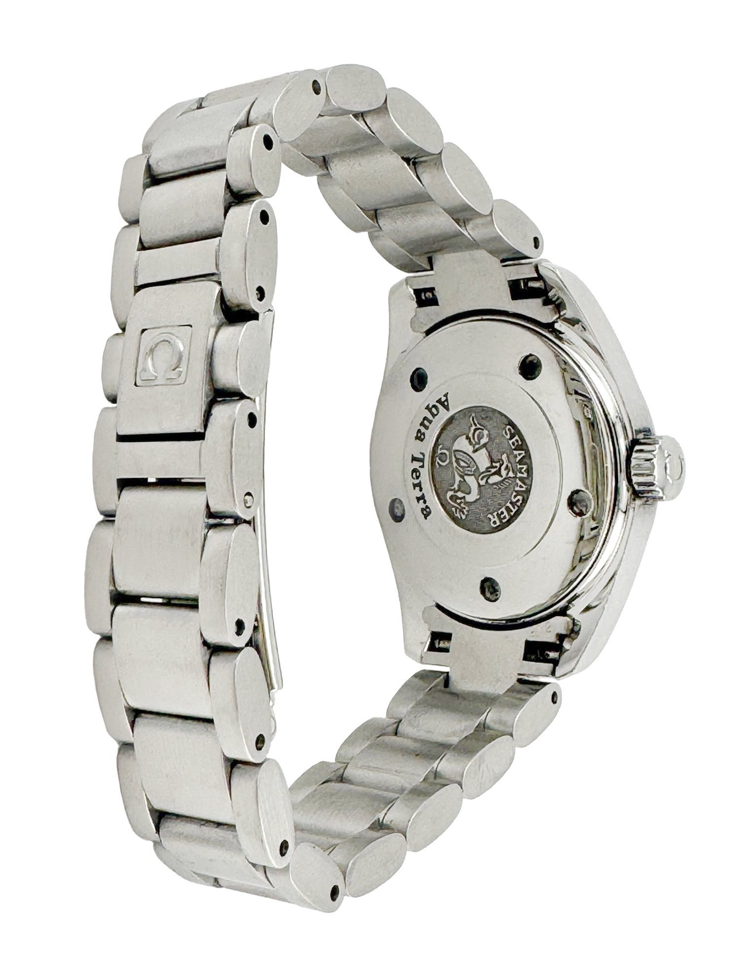 Omega Seamaster Aqua Terra Watch