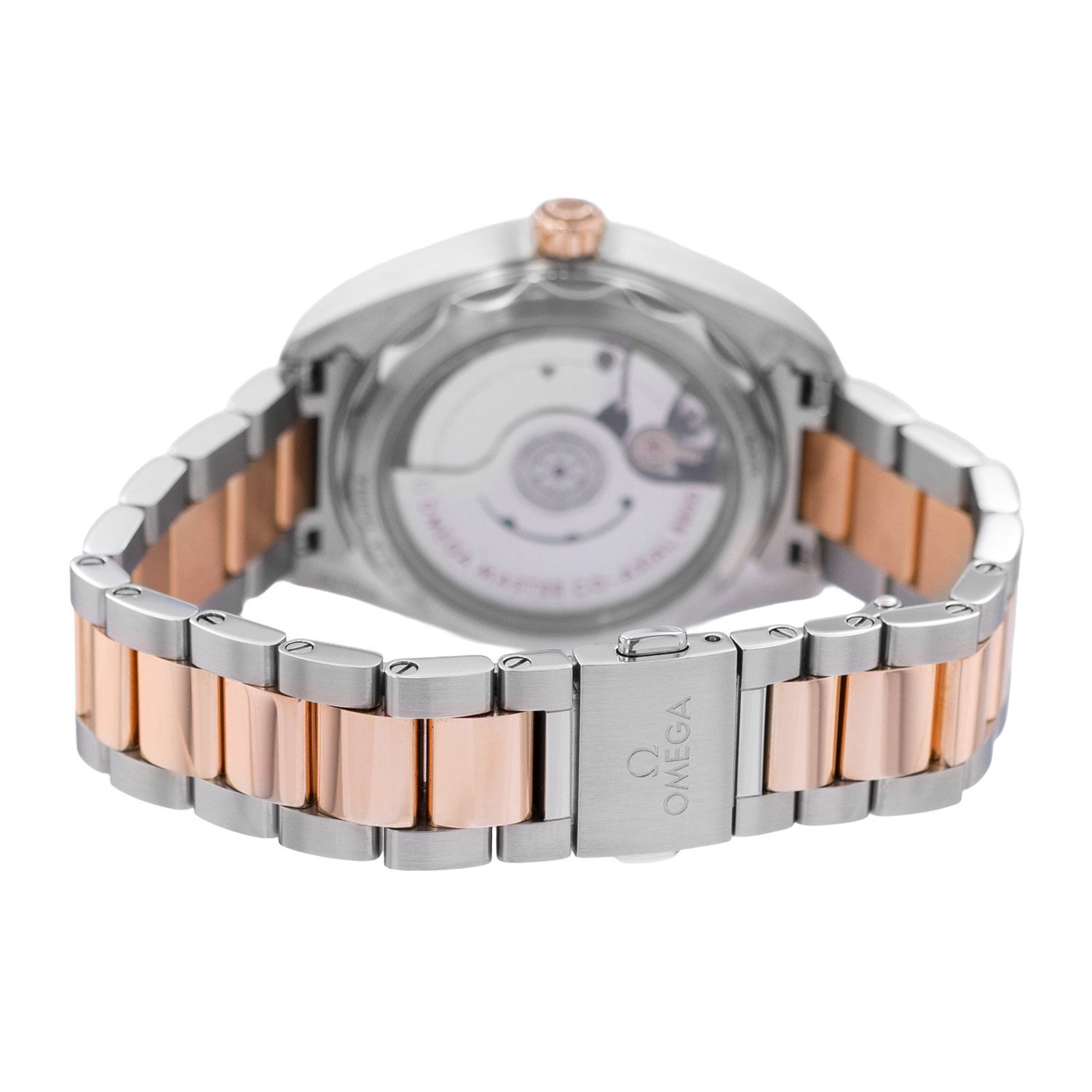 Omega Seamaster Aqua Terra Watch