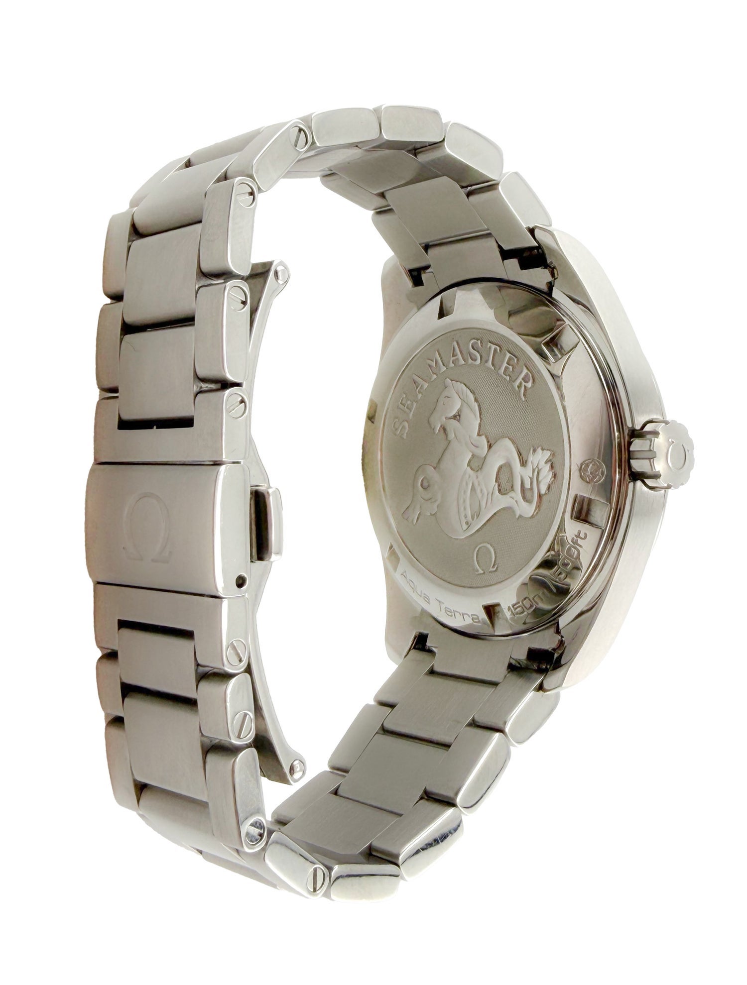 Omega Seamaster Aqua Terra Watch