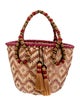 Johanna Ortiz Raffia Bucket Bag