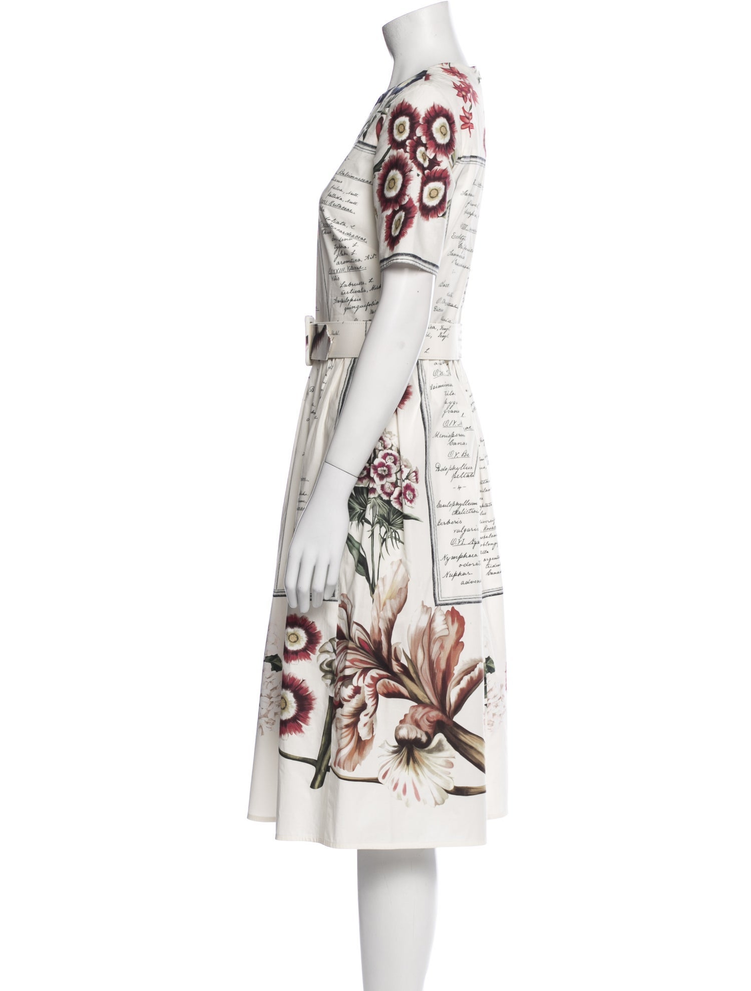 Oscar de la Renta Printed Knee-Length Dress
