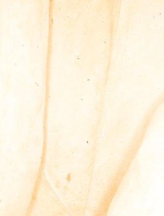 Oscar de la Renta Canvas Top Handle Bag