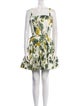 Oscar de la Renta Floral Print Mini Dress