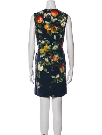 Oscar de la Renta 2022 Mini Dress