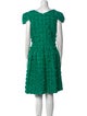 Oscar de la Renta 2010 Knee-Length Dress