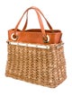 Oscar de la Renta Straw Top Handle Bag