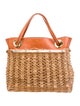 Oscar de la Renta Straw Top Handle Bag