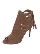 Paul Andrew Suede Mesh Accents Pumps
