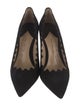 Paul Andrew Suede Pumps
