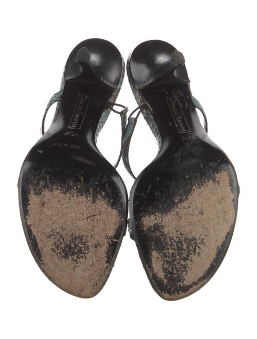 Paciotti Alligator Mules