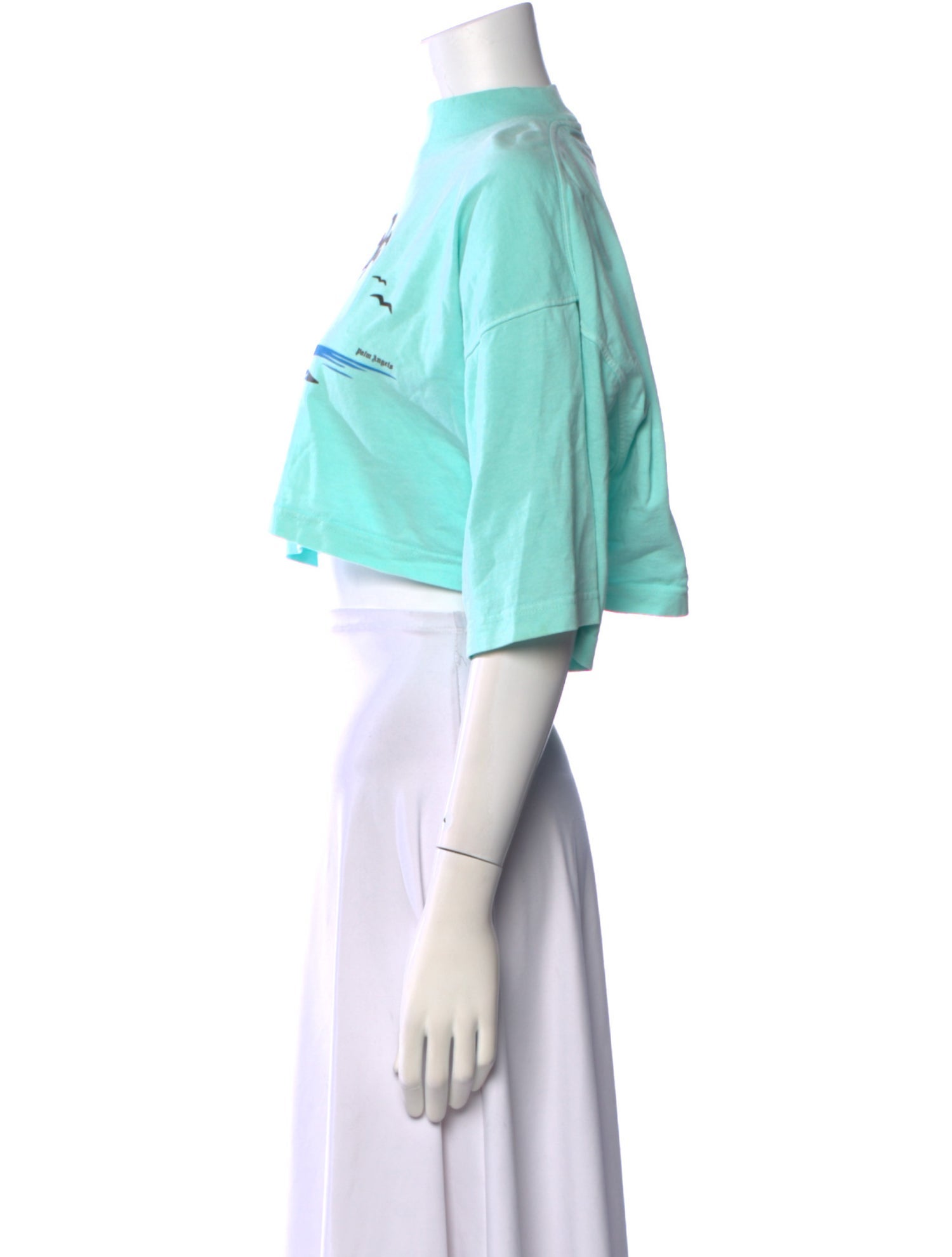 Palm Angels Graphic Print Mock Neck Crop Top