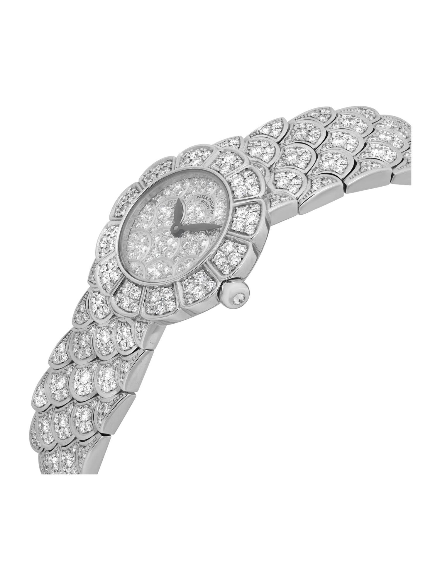 Patek Philippe Neptune Watch