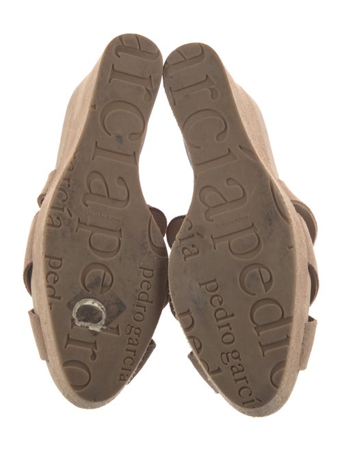 Pedro Garcia Suede Espadrilles