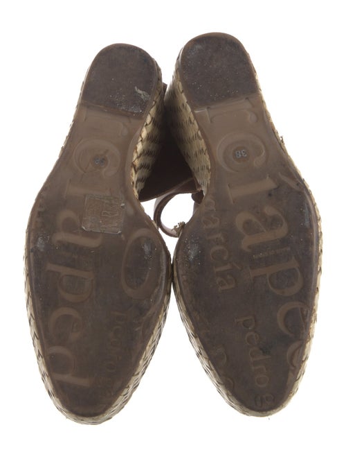 Pedro Garcia Suede Printed Espadrilles