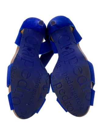 Pedro Garcia Suede Sandals
