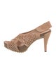 Pedro Garcia Suede Lasercut Accents Slingback Sandals