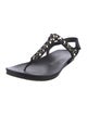 Pedro Garcia Suede Studded Accents T-Strap Sandals