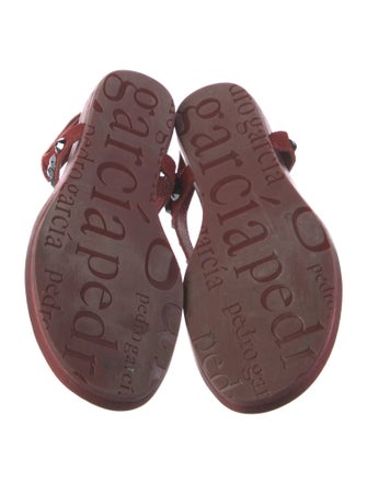 Pedro Garcia Suede Crystal Embellishments T-Strap Sandals