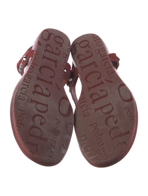 Pedro Garcia Suede Crystal Embellishments T-Strap Sandals