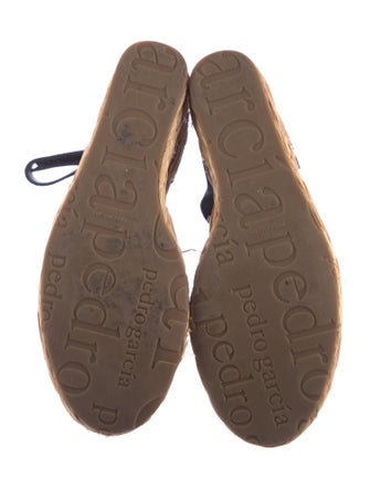 Pedro Garcia Suede Printed Espadrilles