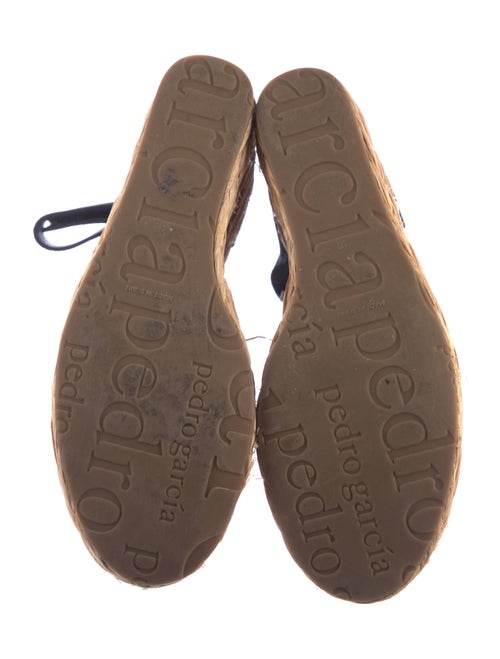 Pedro Garcia Suede Printed Espadrilles