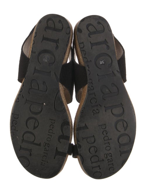 Pedro Garcia Suede Espadrilles