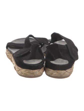 Pedro Garcia Suede Espadrilles