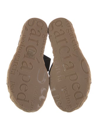Pedro Garcia Suede Espadrilles